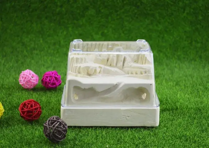 Plaster Ant Nest Acrylic Ant Farm Ants Queen House Insect Cage Anthills Pet Ant House Granja De Hormigas Hormiguero D3
Plaster Ant Nest Acrylic Ant Farm Ants Queen House Insect Cage Anthills Pet Ant House Granja De Hormigas Hormiguero D3