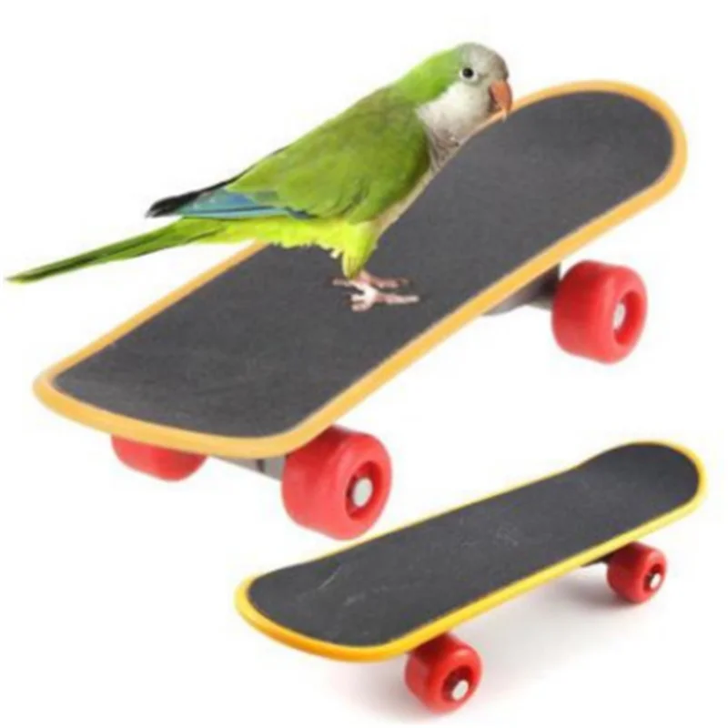 2019 Bird Parrot Intelligence Toys Mini Training Skateboard for Budgies Parakeet Growth Supply Bird Accessories Parakeet Toys
2019 Bird Parrot Intelligence Toys Mini Training Skateboard for Budgies Parakeet Growth Supply Bird Accessories Parakeet Toys