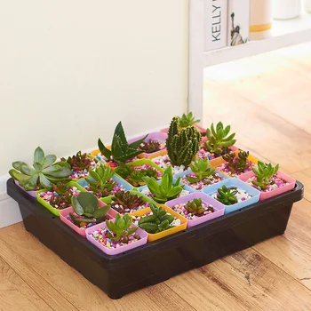 Behogar Rreusable Plastic Plant Growing Tray with Drain Hole Cover for Garden Greenhouse Seedlings Wheatgrass Microgreen
Behogar Rreusable Plastic Plant Growing Tray with Drain Hole Cover for Garden Greenhouse Seedlings Wheatgrass Microgreen