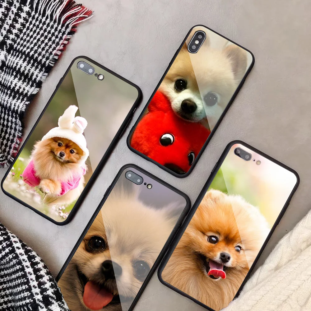 Pomeranian dogs dog Tempered Glass Phone Case For iPhone 6 6plus 7 plus 8 8plus 5 5S 5C SE X XS XR Max | Мобильные телефоны и