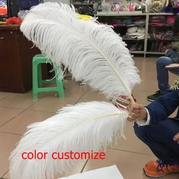 Ostrich Feather White Feathers for needlework pen plume carnival accessories(45cm-50cm) color customize
Ostrich Feather White Feathers for needlework pen plume carnival accessories(45cm-50cm) color customize