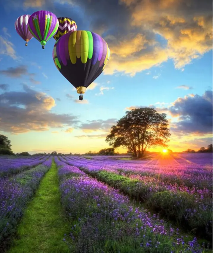 Hot air balloons lavender The wooden puzzle 1000 pieces ersion paper jigsaw puzzle white card adult children's educational toys
Hot air balloons lavender The wooden puzzle 1000 pieces ersion paper jigsaw puzzle white card adult children's educational toys