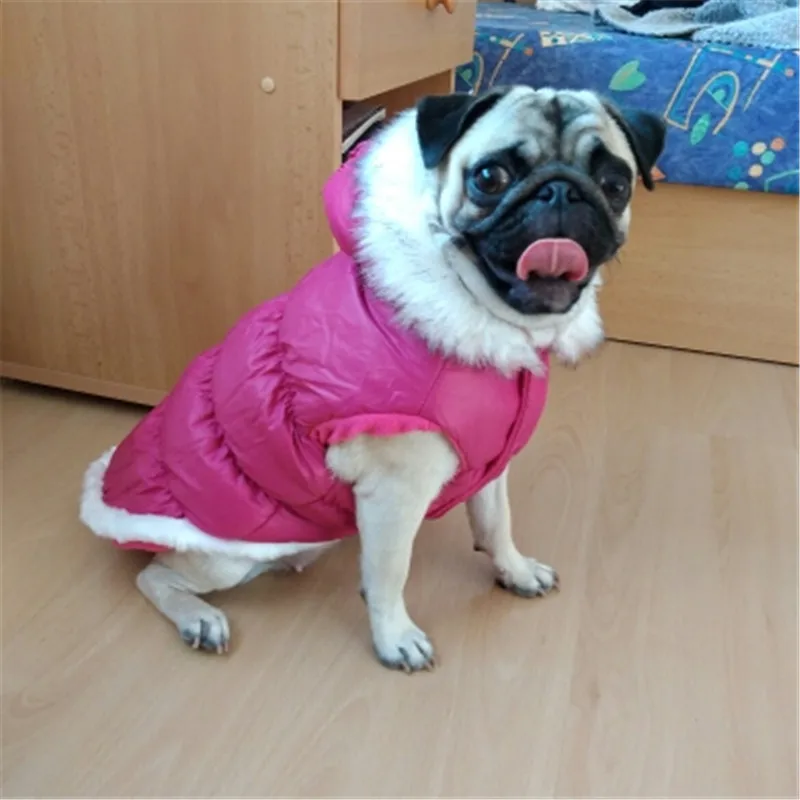 Dog Down Jacket Winter Dog Clothes Coat High Quality Pet Dog Clothing Outwear Outer Garment French Bulldog Costume Apparel
Dog Down Jacket Winter Dog Clothes Coat High Quality Pet Dog Clothing Outwear Outer Garment French Bulldog Costume Apparel