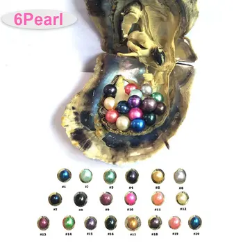 6Pcs Pearls 1Pcs Shell Wish Pearl Oyster Vacuum-packed Randomly Natural Real Pearls in Oyster Pearls 6-7mm Women's Birthday Gift
6Pcs Pearls 1Pcs Shell Wish Pearl Oyster Vacuum-packed Randomly Natural Real Pearls in Oyster Pearls 6-7mm Women's Birthday Gift