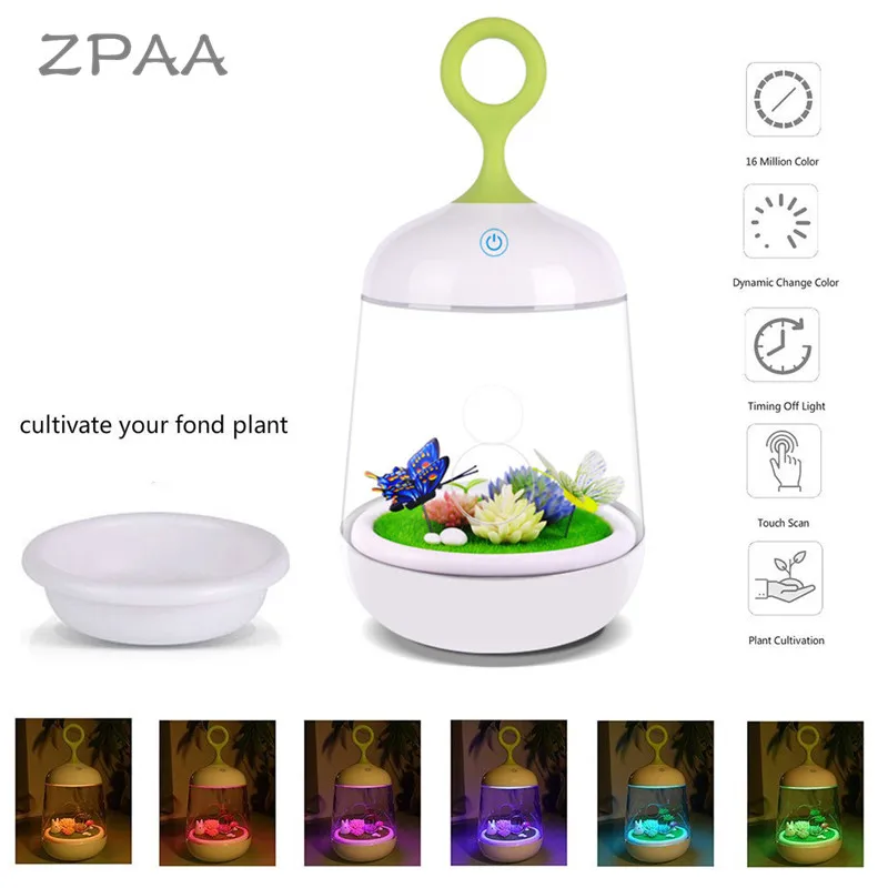 Touch Sensor Night Light Bedside Lamp Color Changing with DIY Micro Landscape Plant Children LED Rechargeable Table Lamp
Touch Sensor Night Light Bedside Lamp Color Changing with DIY Micro Landscape Plant Children LED Rechargeable Table Lamp