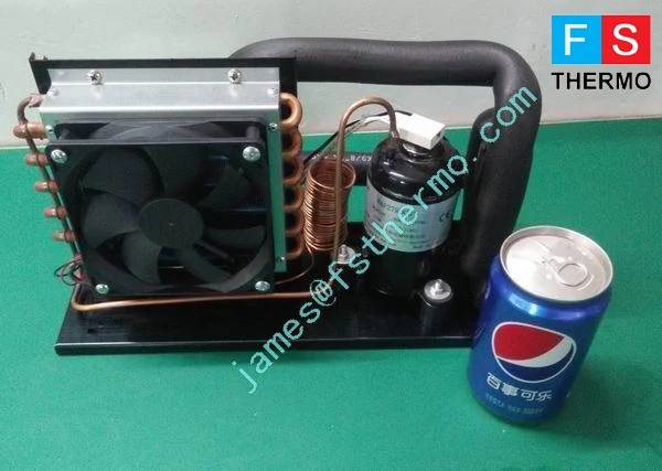 12V/24V DC Compressor unit for Portable Cooling Systems Miniature Refrigeration/Freezer Systems
12V/24V DC Compressor unit for Portable Cooling Systems Miniature Refrigeration/Freezer Systems