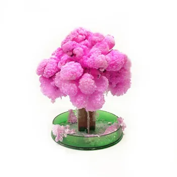 Magic Japanese Sakura Tree-Brand Pink Magically Decorative Growing Paper Trees New Made in Japan
Magic Japanese Sakura Tree-Brand Pink Magically Decorative Growing Paper Trees New Made in Japan