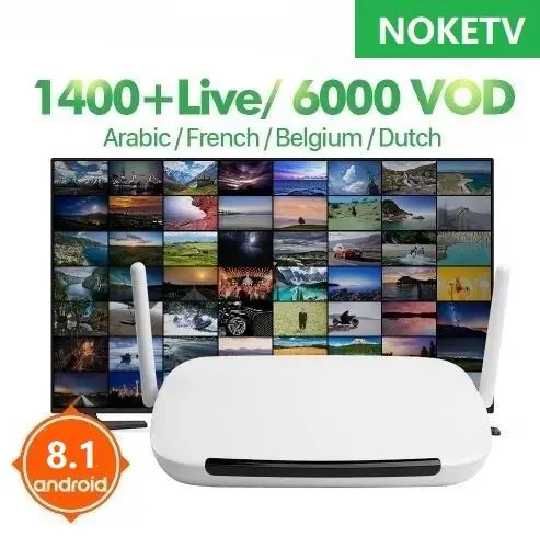 leadcool Q9 android 8.1 TV Box with Smart IPTV Arabic French 1 Year NOKETV Subscription Spain Arabic Portugal IPTV Box
leadcool Q9 android 8.1 TV Box with Smart IPTV Arabic French 1 Year NOKETV Subscription Spain Arabic Portugal IPTV Box