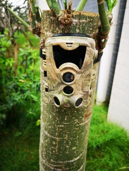 Wireless Hunting Trail Camera 1080P 16MP HC801A Wildlife Night Vision Infrared Wild Cameras Hunter Tracking Surveillance
Wireless Hunting Trail Camera 1080P 16MP HC801A Wildlife Night Vision Infrared Wild Cameras Hunter Tracking Surveillance