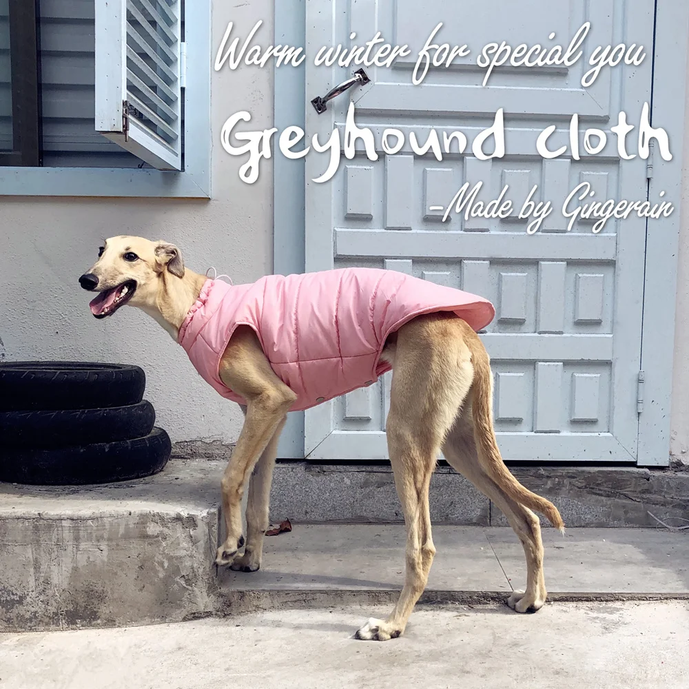 Gingerain Fashion Pet Winter greyhound Dog Clothes Warm Waterproof Coat For Medium Large greyhound Dog Winter Clothes Warm Coat
Gingerain Fashion Pet Winter greyhound Dog Clothes Warm Waterproof Coat For Medium Large greyhound Dog Winter Clothes Warm Coat