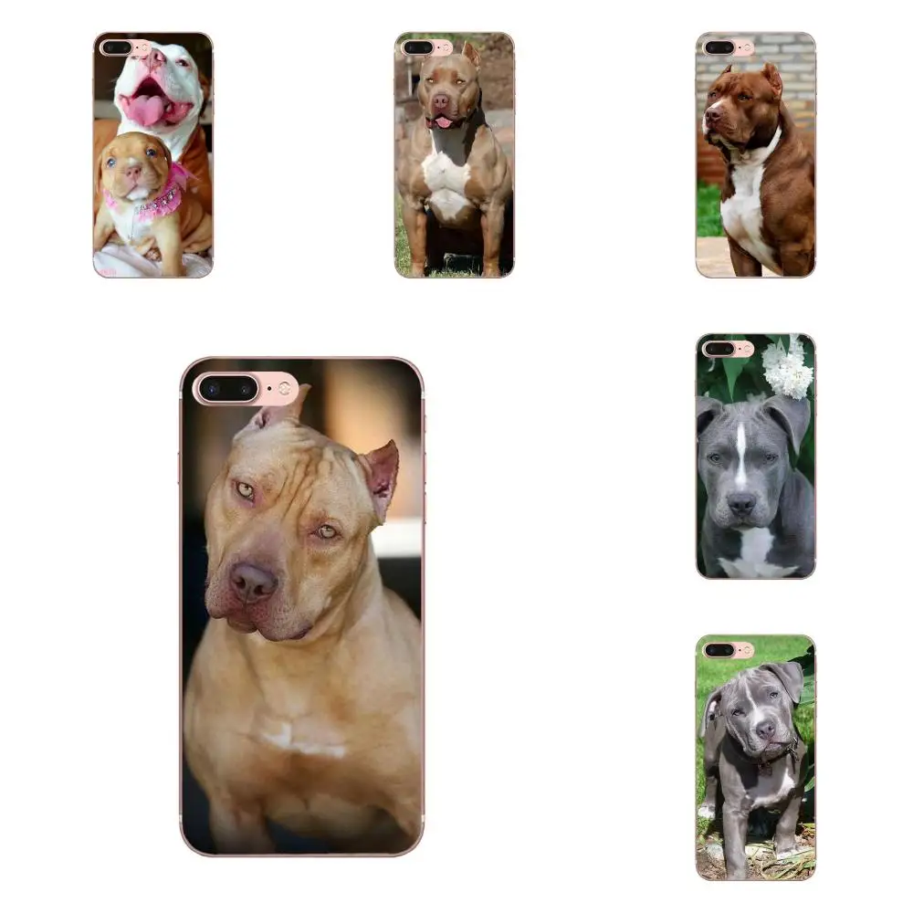 Soft TPU Screen Protector For Galaxy Alpha Core Note 2 3 4 S2 A10 A20 A20E A30 A40 A50 A60 A70 M10 M20 M30 Pitbull Dog Puppy
Soft TPU Screen Protector For Galaxy Alpha Core Note 2 3 4 S2 A10 A20 A20E A30 A40 A50 A60 A70 M10 M20 M30 Pitbull Dog Puppy