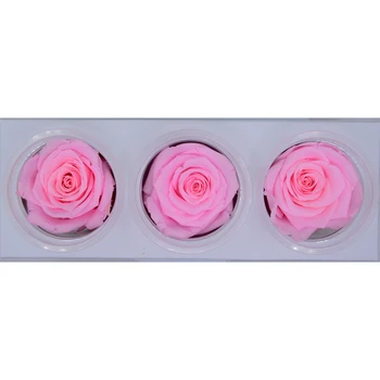 valentine's day gifts wholesale Upscale decorations diy 5-7cm Preserved flowers 3pcs/lot A variety of colors can be selected
valentine's day gifts wholesale Upscale decorations diy 5-7cm Preserved flowers 3pcs/lot A variety of colors can be selected