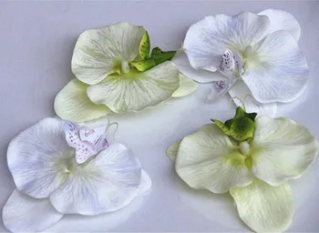 20PCS High Quality Real Touch Large Fabric Phalaenopsis Silk Butterfly Orchids Heads,Floral Arrangements Decoration For Weddings
20PCS High Quality Real Touch Large Fabric Phalaenopsis Silk Butterfly Orchids Heads,Floral Arrangements Decoration For Weddings