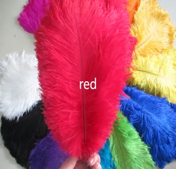 50 wholesale high quality red ostrich feathers 50pcs / lot 12-14 inches / 30-35 cm wedding decoration
50 wholesale high quality red ostrich feathers 50pcs / lot 12-14 inches / 30-35 cm wedding decoration