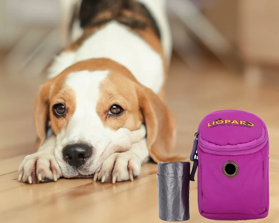 Portable Nylon Dog Training Treat Bag Waste Clean-up Dog Poop Bag With Waste Bag Dispenser
Portable Nylon Dog Training Treat Bag Waste Clean-up Dog Poop Bag With Waste Bag Dispenser