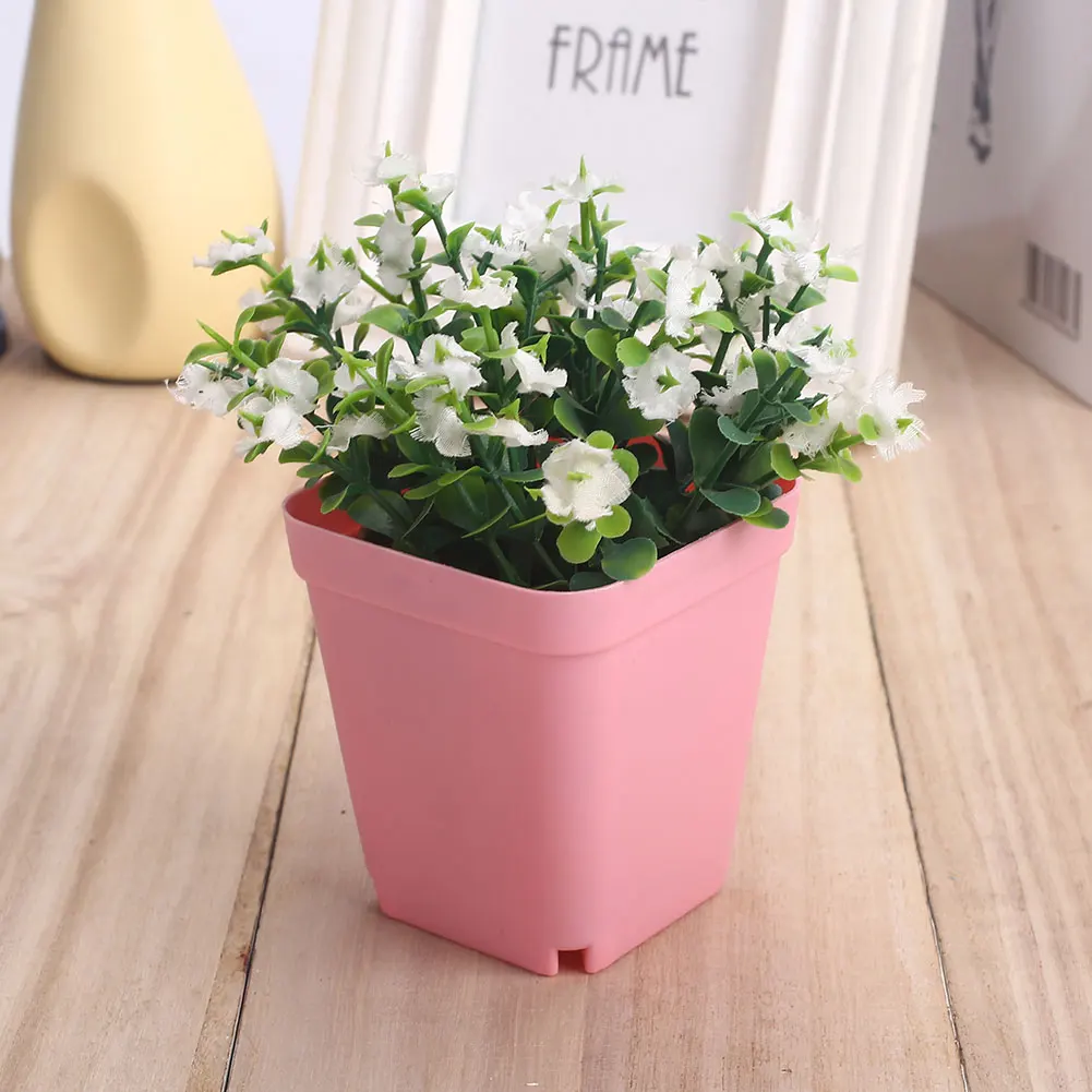 Multi-Meat Basin Vase Plastic Pots Gardening Supplies 8*7cm 9 Color Flower Pot Planters Home Decor Office Desk Creative
Multi-Meat Basin Vase Plastic Pots Gardening Supplies 8*7cm 9 Color Flower Pot Planters Home Decor Office Desk Creative