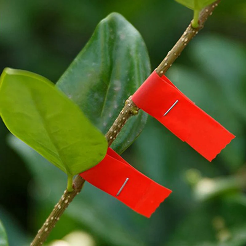 20Pcs/Set Plant Branch Tapener Flower Vegetable Garden Tapetool Gardening Tapes for Hand Tying Machine Garden Tools Fixing Tape
20Pcs/Set Plant Branch Tapener Flower Vegetable Garden Tapetool Gardening Tapes for Hand Tying Machine Garden Tools Fixing Tape