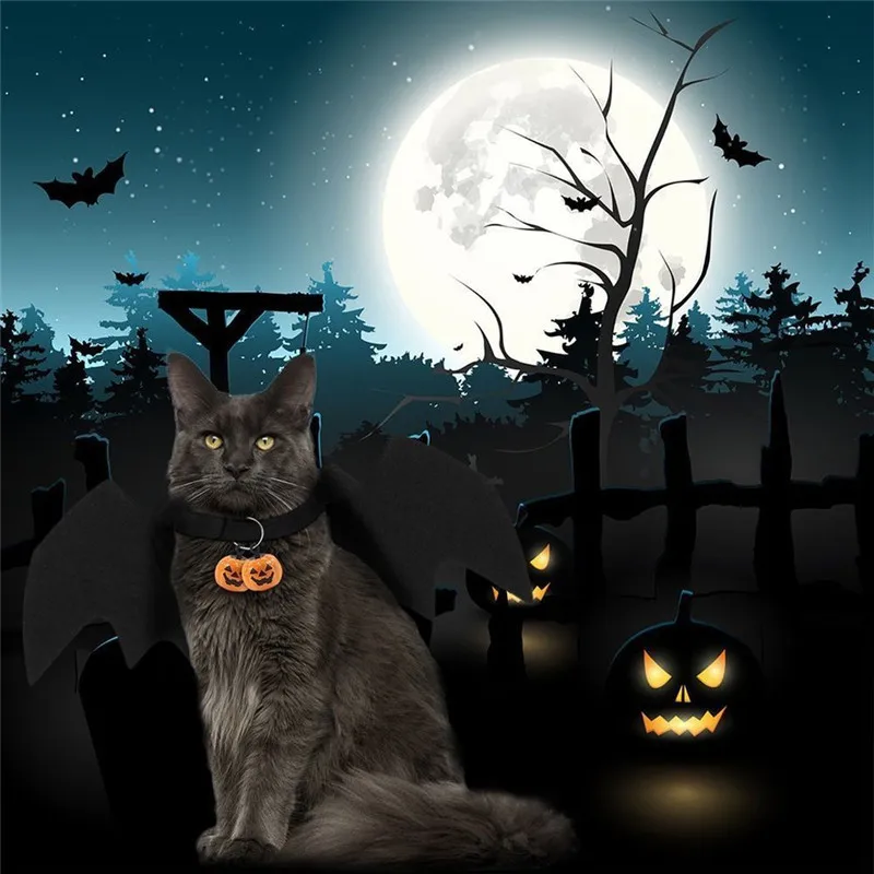 Bat Wings Vampire Cat Costumes Clothing Black Cute Fancy Bat Dress Up Pet Dog Cat Halloween Cat Supplies Funny Pet Clothes
Bat Wings Vampire Cat Costumes Clothing Black Cute Fancy Bat Dress Up Pet Dog Cat Halloween Cat Supplies Funny Pet Clothes