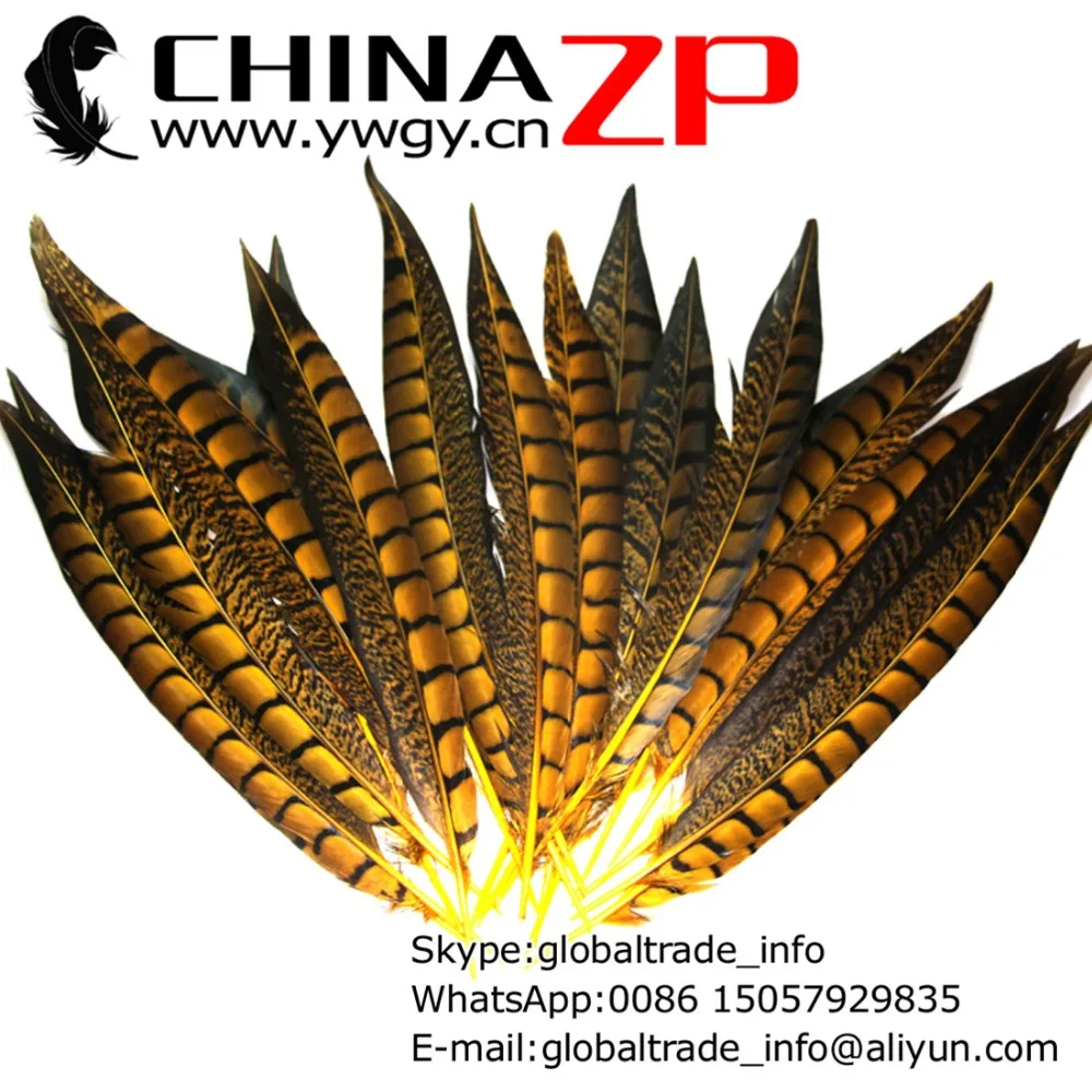 

CHINAZP Factory Wholesale 100pcs/lot 30-35CM(12~14inch) Length Dyed Yellow Lady Amherst Pheasant Feathers