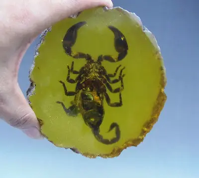 Elaborate Chinese Decorated Handwork Artificial Amber Resin inlaid with scorpion Lucky Statue
Elaborate Chinese Decorated Handwork Artificial Amber Resin inlaid with scorpion Lucky Statue
