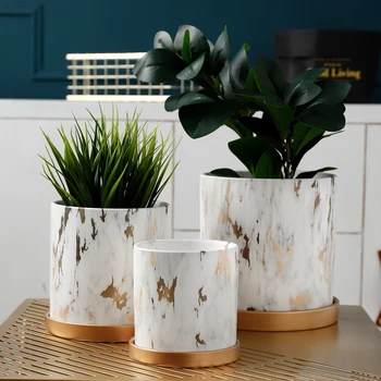 Nordic Golden Marble Pattern Succulents Pot Plant Pot with Tray Ceramic Plant Pots Home Office Christmas New Year Decoration
Nordic Golden Marble Pattern Succulents Pot Plant Pot with Tray Ceramic Plant Pots Home Office Christmas New Year Decoration
