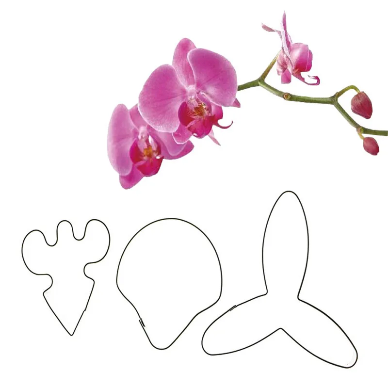 3pcs Stainless Steel Cookie Cutters Phalaenopsis Flower Fondant Cutter Baking Pastry Fondant Cake Decoration Tools Kitchen Tool
3pcs Stainless Steel Cookie Cutters Phalaenopsis Flower Fondant Cutter Baking Pastry Fondant Cake Decoration Tools Kitchen Tool