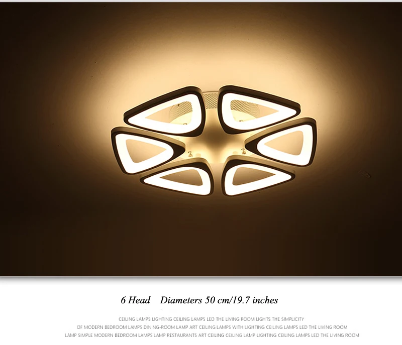 modern ceiling light (30)