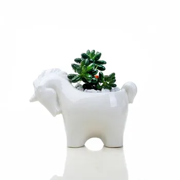 1 Shaped Ceramic Flowerpot Whale Porcelain Flower Pot Animal Plant Pot With Tray For Desktop Home Garden Decoration
1 Shaped Ceramic Flowerpot Whale Porcelain Flower Pot Animal Plant Pot With Tray For Desktop Home Garden Decoration