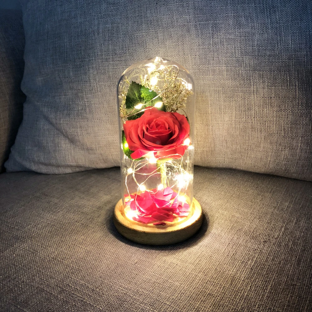 Rose qui ne fane pas France