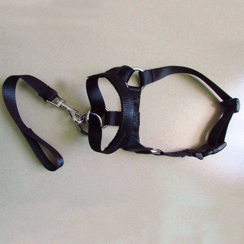 Durable Pet Training Gentle Anti Bite Head Collar Dog Halter Practical Nylon No Pull Leash Adjustable Outdoor Traction Rope
Durable Pet Training Gentle Anti Bite Head Collar Dog Halter Practical Nylon No Pull Leash Adjustable Outdoor Traction Rope