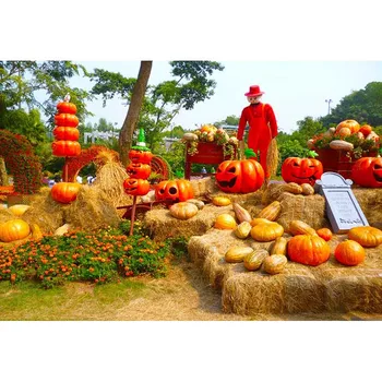 Digital Art Backgrounds Pumpkin Props Happy Halloween Photo Backdrops new born photography
Digital Art Backgrounds Pumpkin Props Happy Halloween Photo Backdrops new born photography