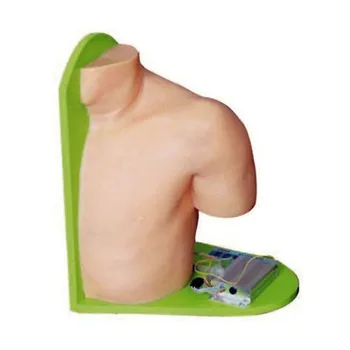 Shoulder joint injection model Closed puncture training Closed injection site free shipping
Shoulder joint injection model Closed puncture training Closed injection site free shipping