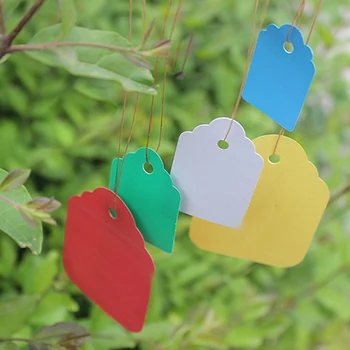 100 PCS Breeding label Gardening Plant Tag PVC Waterproof Hanging Sign Fleshy Nursery Stock Flowers Tag Labeling Garden Supplies
100 PCS Breeding label Gardening Plant Tag PVC Waterproof Hanging Sign Fleshy Nursery Stock Flowers Tag Labeling Garden Supplies