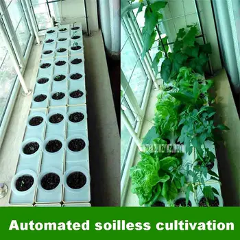 DIY Hydroponics System Home Garden Vegetable Growing Box Balcony Planting Hydroponic Equipment Soilless Cultivation Equipment
DIY Hydroponics System Home Garden Vegetable Growing Box Balcony Planting Hydroponic Equipment Soilless Cultivation Equipment