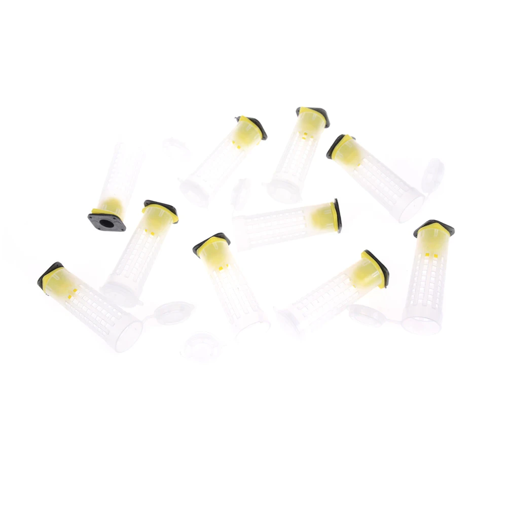 10Pcs/Set Plastic Bee Rearing Cup Kit Bee Queen Cages Roller Beekeeper Apiculture Equipment Beekeeping Tools
10Pcs/Set Plastic Bee Rearing Cup Kit Bee Queen Cages Roller Beekeeper Apiculture Equipment Beekeeping Tools