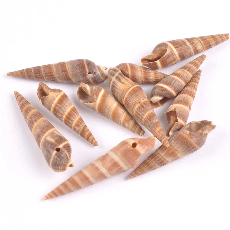 30-43mm one hole Natural Brown Spiral SeaShell Scrapbook Craft for glass bottle decoration DIY handmade 20pcs TR0128
30-43mm one hole Natural Brown Spiral SeaShell Scrapbook Craft for glass bottle decoration DIY handmade 20pcs TR0128