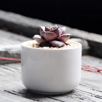 garden supplies white ceramic simple garden flower pots planters office home decorative green plant pots floor desktop 90*70mm
garden supplies white ceramic simple garden flower pots planters office home decorative green plant pots floor desktop 90*70mm