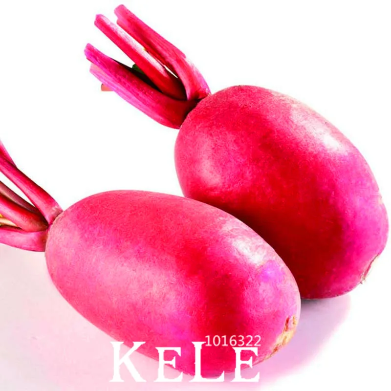 Hot Sale!60 PCS/Lot Redskins Fruit Vegetable Bonsai Garden green non-GMO Organic Vegetables Long red Radish Plants,#YOTUGE
Hot Sale!60 PCS/Lot Redskins Fruit Vegetable Bonsai Garden green non-GMO Organic Vegetables Long red Radish Plants,#YOTUGE