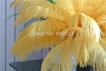 100pcs/lot 12-14inch(30-35cm) Ostrich Feather Plume gold for wedding centerpiece wedding decor party event supply
100pcs/lot 12-14inch(30-35cm) Ostrich Feather Plume gold for wedding centerpiece wedding decor party event supply