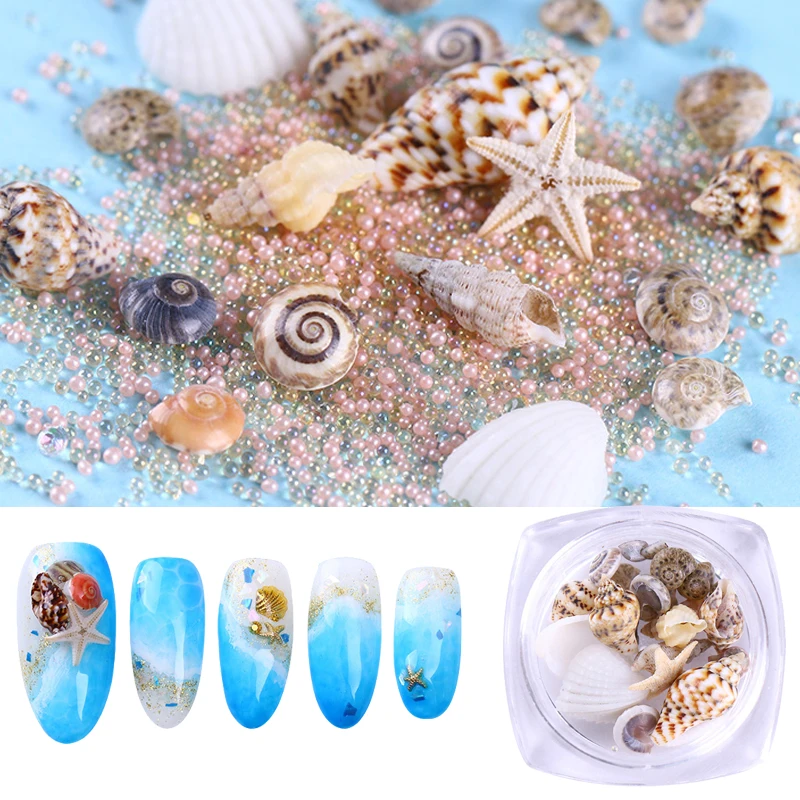 Natural Nail Art Decoration Summer Ocean Styles Conch Starfish Mixed Patterns Decors Tools 3D Nail Accessories DIY Design
Natural Nail Art Decoration Summer Ocean Styles Conch Starfish Mixed Patterns Decors Tools 3D Nail Accessories DIY Design