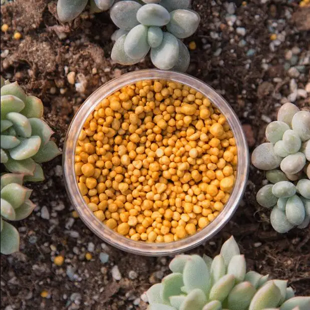 Imported 250 grams Release Fertilizer Granules Slow-release Fertilizer Suitable for Home Garden Flower Vegetable Plant
Imported 250 grams Release Fertilizer Granules Slow-release Fertilizer Suitable for Home Garden Flower Vegetable Plant