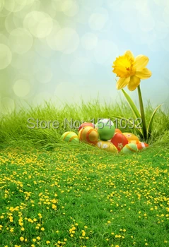 1.5X2.2M vinyl photography backdrop newborn easter wood computer print thin background for photo studio Customize F089
1.5X2.2M vinyl photography backdrop newborn easter wood computer print thin background for photo studio Customize F089