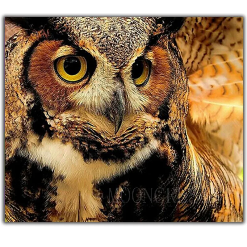 5D Diy Diamond Painting Cross Stitch Pretty Cute Owl Needlework 3D Diamond Embroidery Full Round Mosaic Decoration Resin Sticker
5D Diy Diamond Painting Cross Stitch Pretty Cute Owl Needlework 3D Diamond Embroidery Full Round Mosaic Decoration Resin Sticker