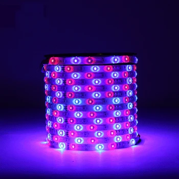 Led Strip Light 5m Colorful Rgb Strip Lamp LED Color Changing Kit Flexible Waterproof Ambilight With 24 Keys Remote Controller
Led Strip Light 5m Colorful Rgb Strip Lamp LED Color Changing Kit Flexible Waterproof Ambilight With 24 Keys Remote Controller