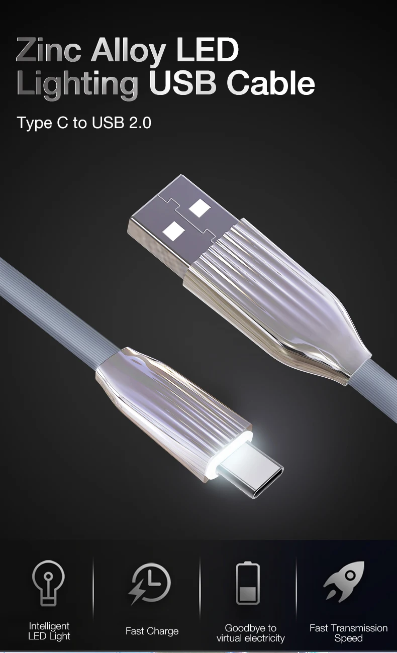 type-c_01