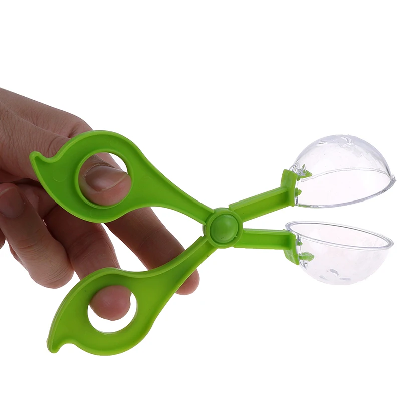 Lizards Feeding cleaning scissors pliers Reptile Plastic Clips Climbing Pet Supplies Amphibian Insect Breeding Worm Capture tool
Lizards Feeding cleaning scissors pliers Reptile Plastic Clips Climbing Pet Supplies Amphibian Insect Breeding Worm Capture tool