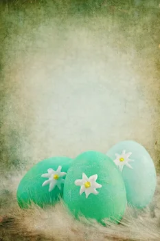 Retro Bottom Easter Eggs Backdrop Photography Backdrops Pink Green Warm Eggs For Easter Theme Photo D-945
Retro Bottom Easter Eggs Backdrop Photography Backdrops Pink Green Warm Eggs For Easter Theme Photo D-945