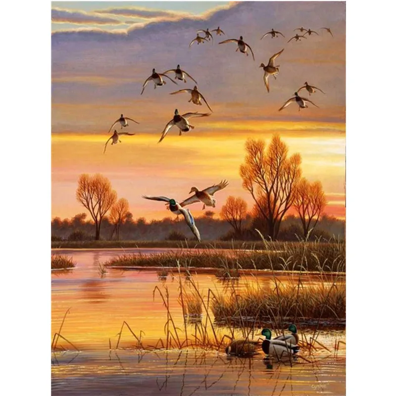 Animals,3D Full Square Diamond painting Round wild duck,mosaic Diamond Embroidery Sale Home decoration rhinestones pictures
Animals,3D Full Square Diamond painting Round wild duck,mosaic Diamond Embroidery Sale Home decoration rhinestones pictures