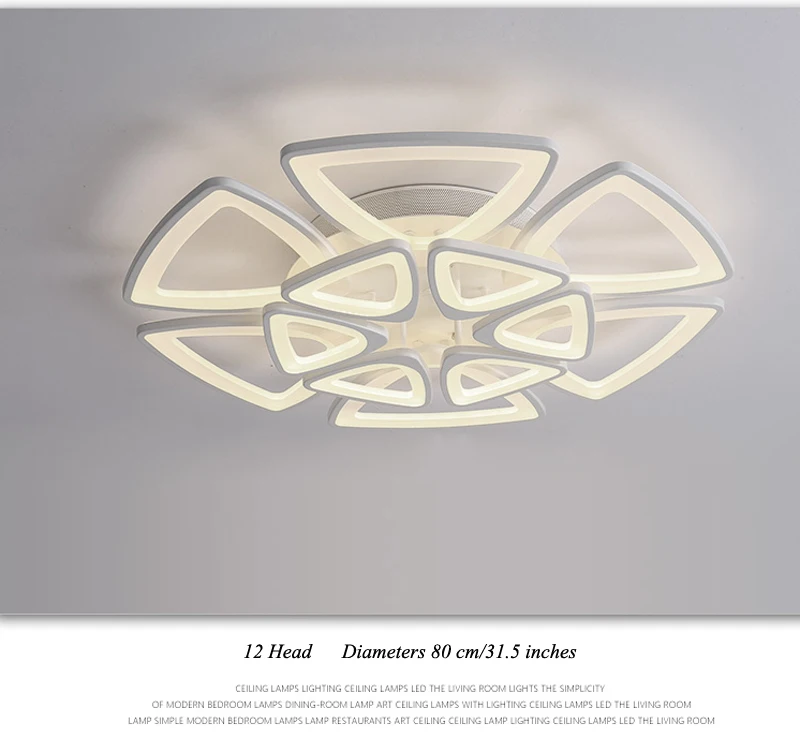 modern ceiling light (24)