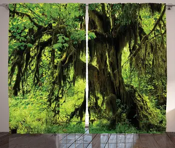 Rainforest Decorations Curtains Tree with Moss in The Jungle Natural Life Zen Home Decor Silent Plants Pattern Living Room
Rainforest Decorations Curtains Tree with Moss in The Jungle Natural Life Zen Home Decor Silent Plants Pattern Living Room